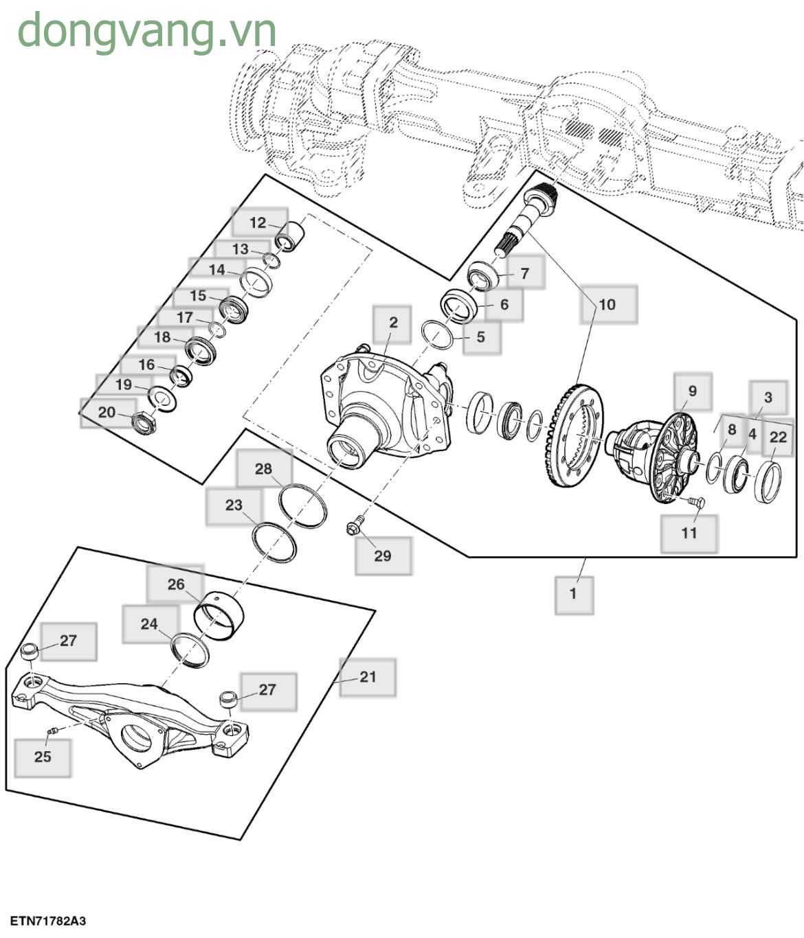Differential Assembly, MFWD - ST831923